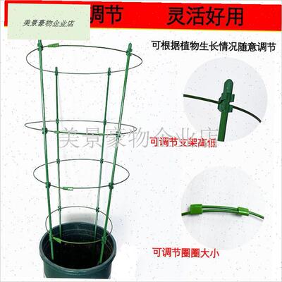 文竹支撑架爬藤架子月季花架室内F花卉植物支撑杆绿萝铁线莲攀.