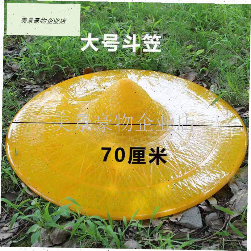 雨伞帽子头戴f式成人斗笠防雨斗笠帽钓鱼伞钓鱼帽牛筋垂钓草帽防.