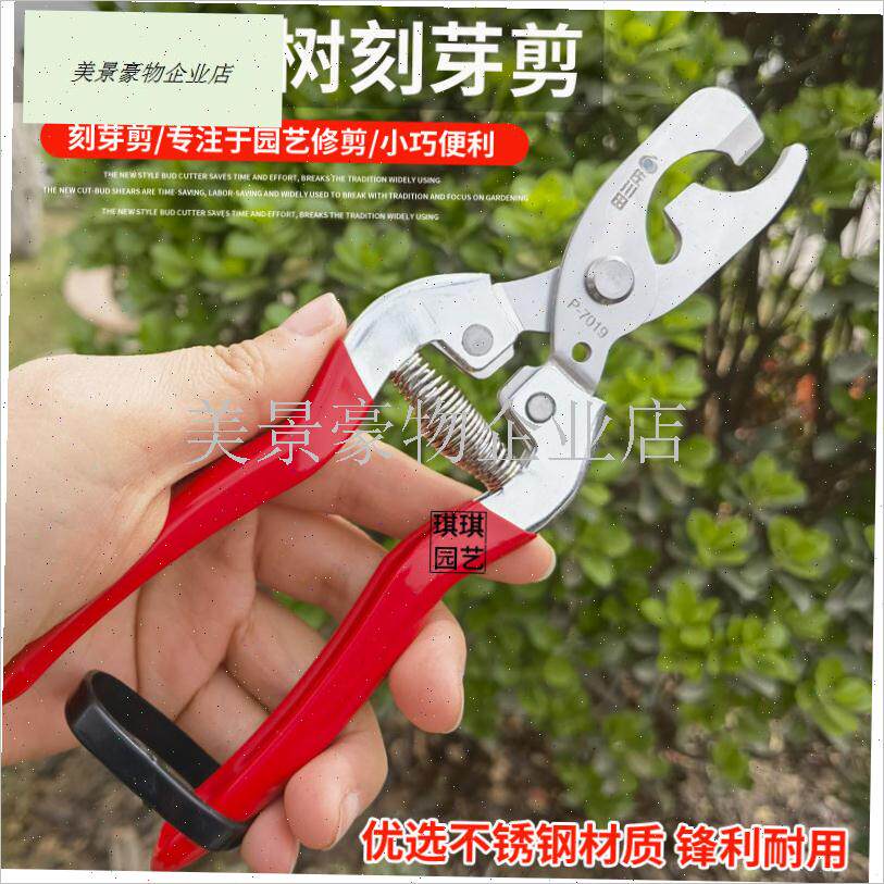 葡萄刻芽剪e台湾原装佐川田树枝刻芽剪刀不锈钢刻芽工具果树刻芽.