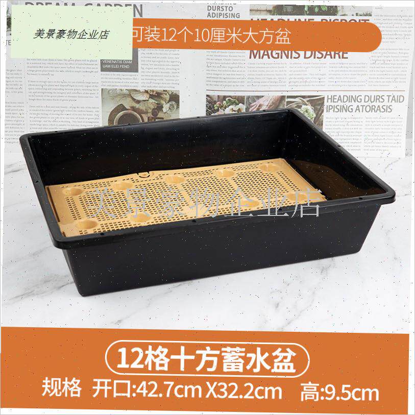 多肉植物蓄水e育苗盆叶o插闷养盆小方盆组合盘带盖T多肉7cm方盆.