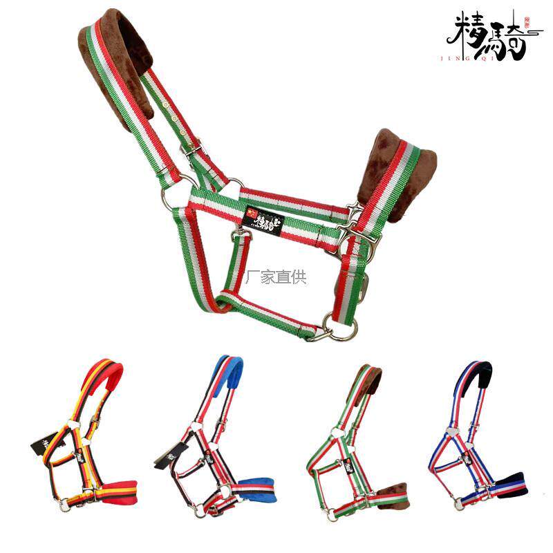 马笼头绳子马术用品套大