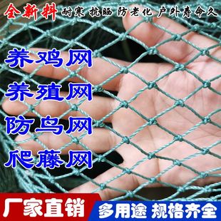 养殖网养鸡网尼龙网拦鸡网围鸡网家禽塑料网护栏网菜园围网防护网