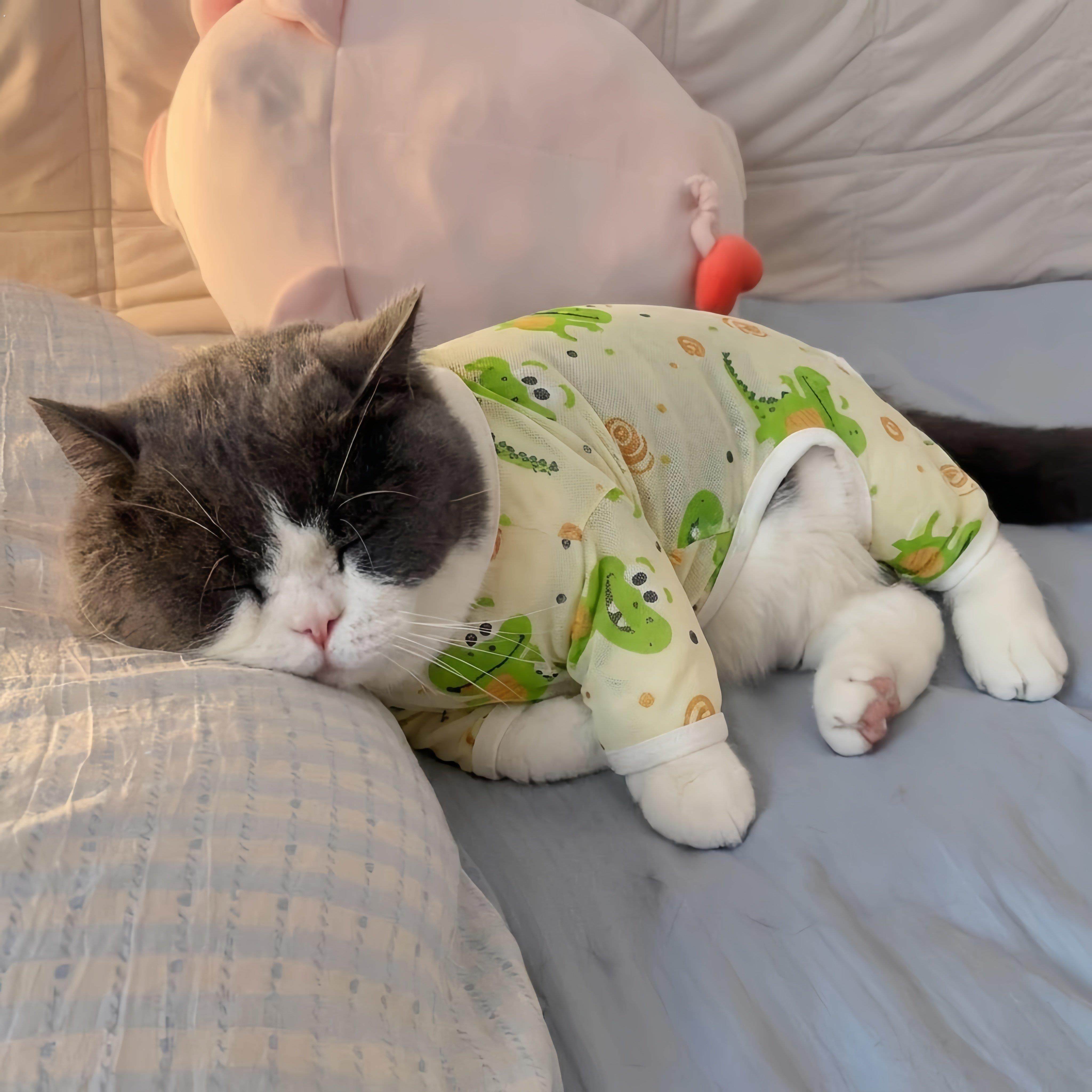 猫咪衣服夏季薄款纱衣防脏防晒衣四脚衣网眼透气居家服防掉毛睡衣