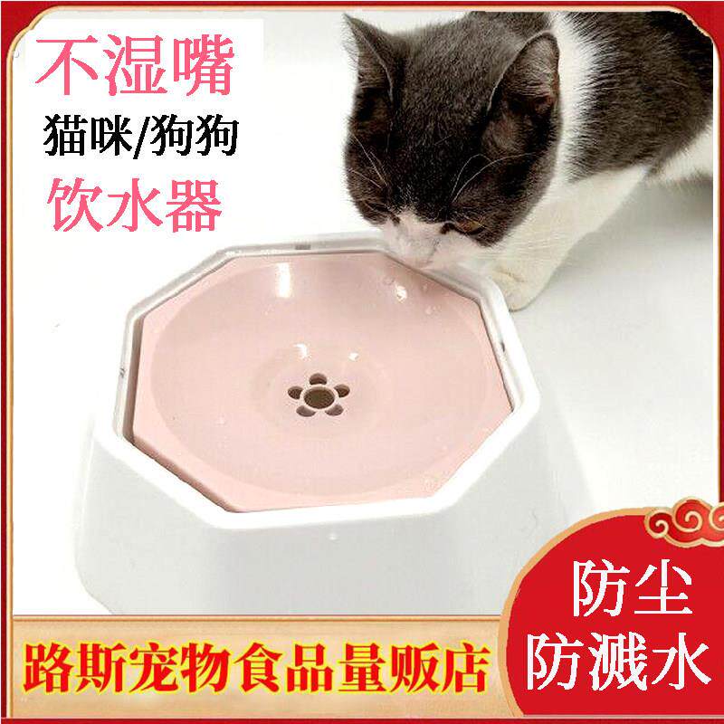 宠物狗碗猫咪喝水碗不湿嘴饮水器猫水盆喝水碗狗碗防溅水防湿下巴