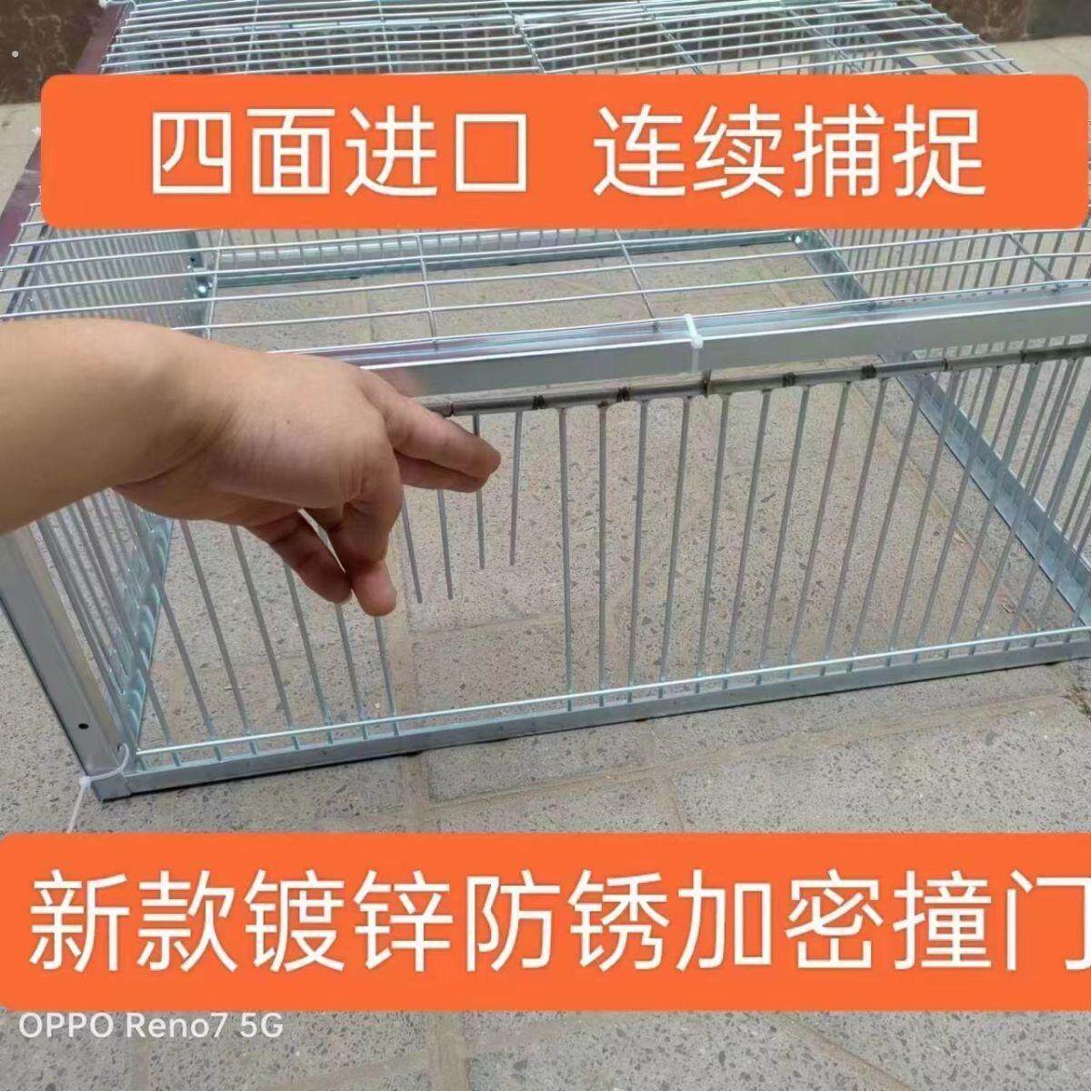 新款加密天落笼鸽子笼捕鸽信鸽用品祇进不出跳笼拼装撞门笼不锈钢