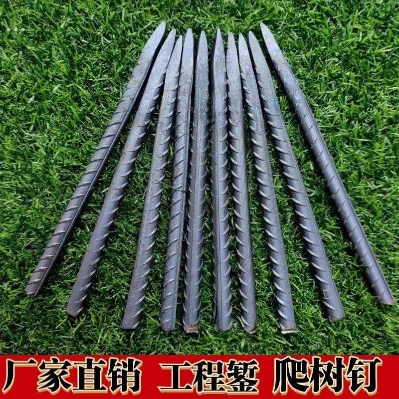 工程錾子帐篷钉手工直钉钢钎子加粗钢筋钉木工尖头钢钉爬树专用钉
