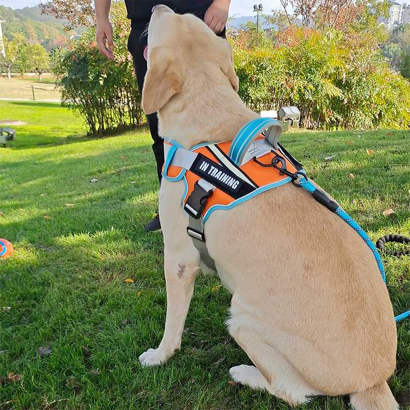 工厂直销狗狗牵引绳大中小胸背带背心式大中小型犬舒适透气狗绳子
