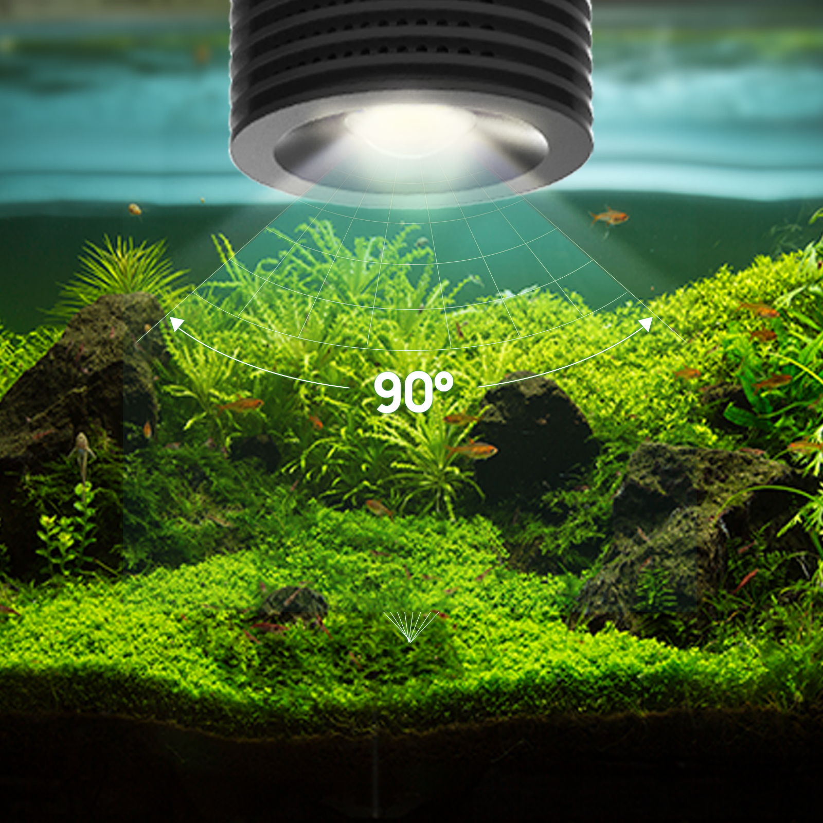 镭明士asta系列藻缸灯珊瑚活石爆藻苔水草灯海藻生长灯wifi控制