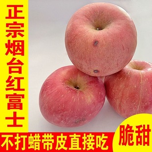 烟台苹果瑕疵果适合自己吃假一罚十脆甜多汁 诚信生态果农
