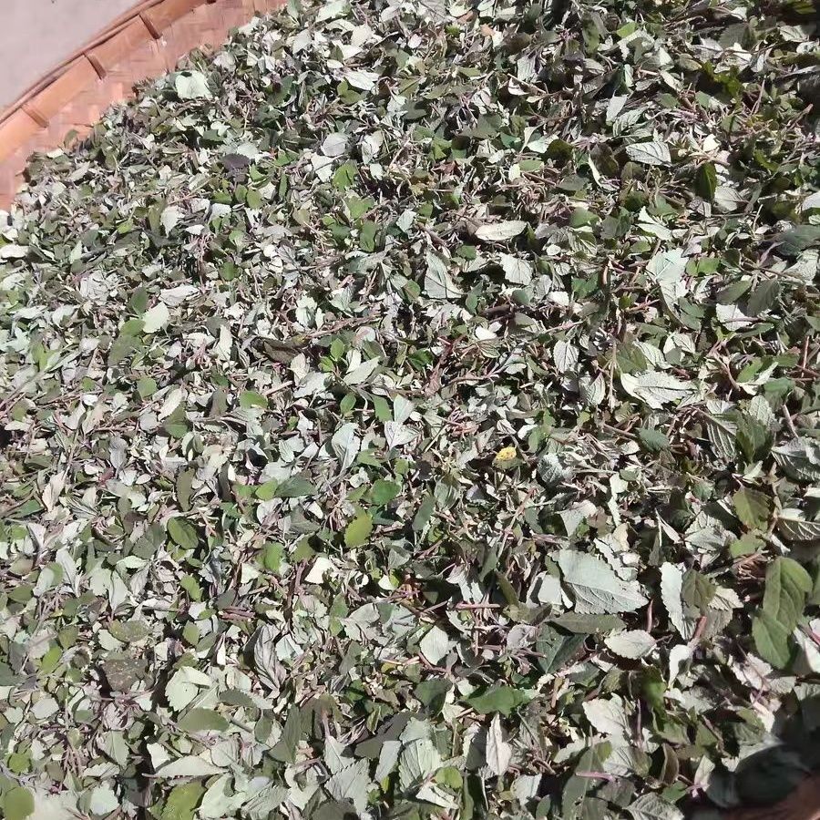 野坝子茶中草药野坝蒿餐用茶散装绿茶凉茶煮鸡搭档特价清香型直销