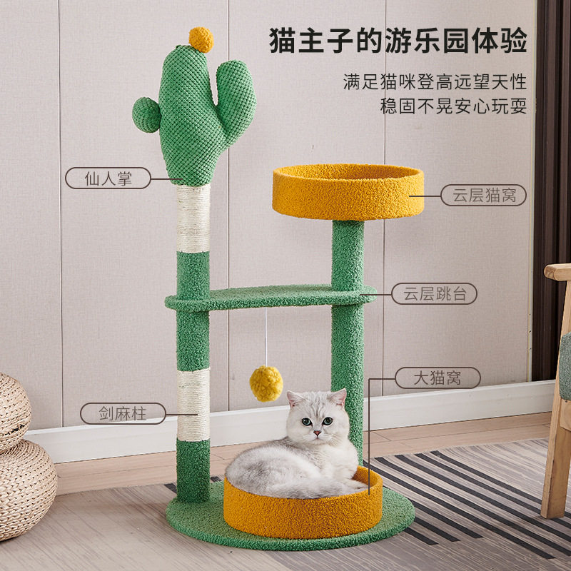 代发猫咪用品宠物仙人掌