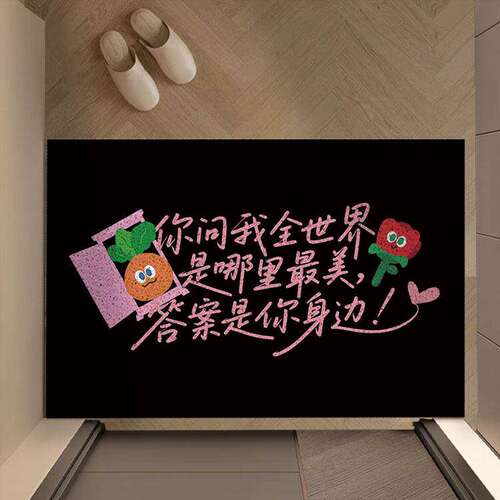五月天地垫五月天地垫家用入户门垫丝圈地垫可裁剪防滑耐磨门口防