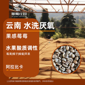 那姆庄园果感莓莓 厌氧水洗阿拉比卡云南咖啡生豆原料可代烘焙1KG