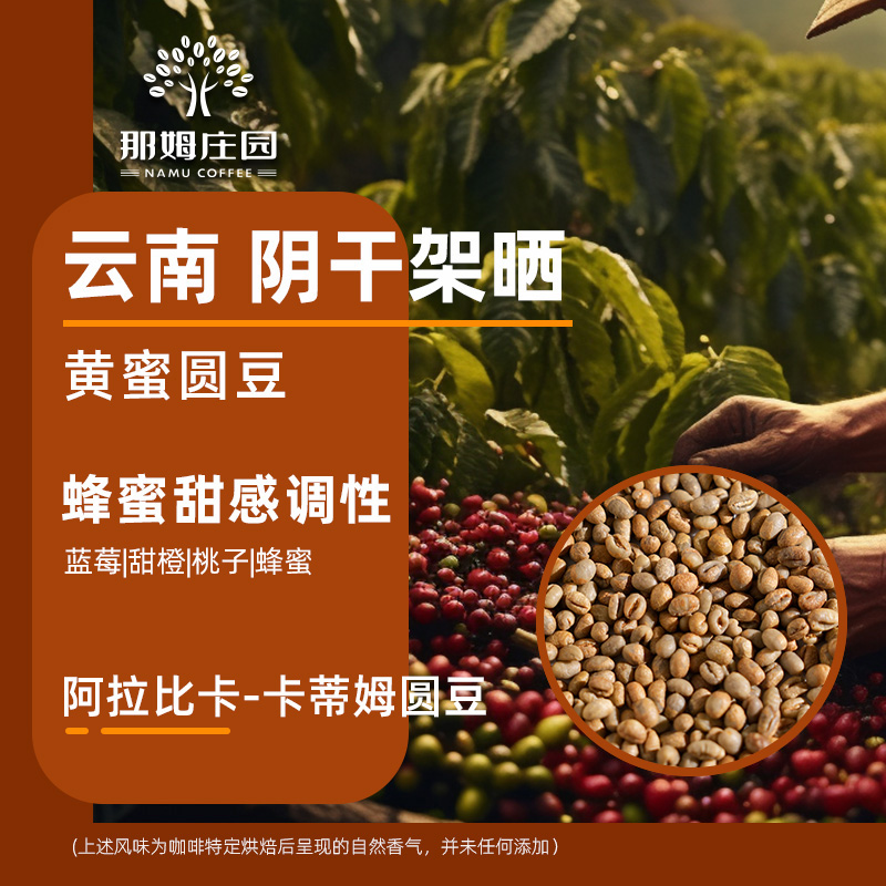 那姆卡蒂姆蜜处理圆豆咖啡生豆