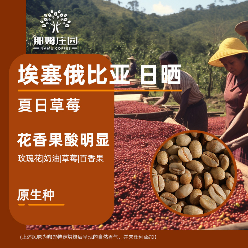 埃塞俄比亚罕贝拉花魁咖啡生豆