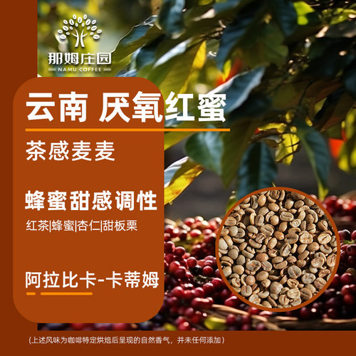 那姆茶感麦麦厌氧红蜜咖啡生豆