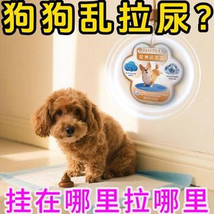 狗狗定点上厕所神器狗定点排便神器大小便训练 科学诱导排便