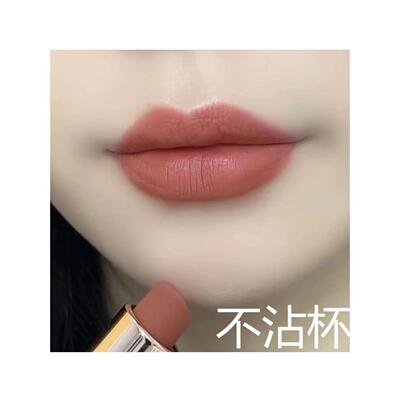 显白肉桂色口红不掉色防水不易沾杯雾面唇膏保湿高级素颜抖音爆款