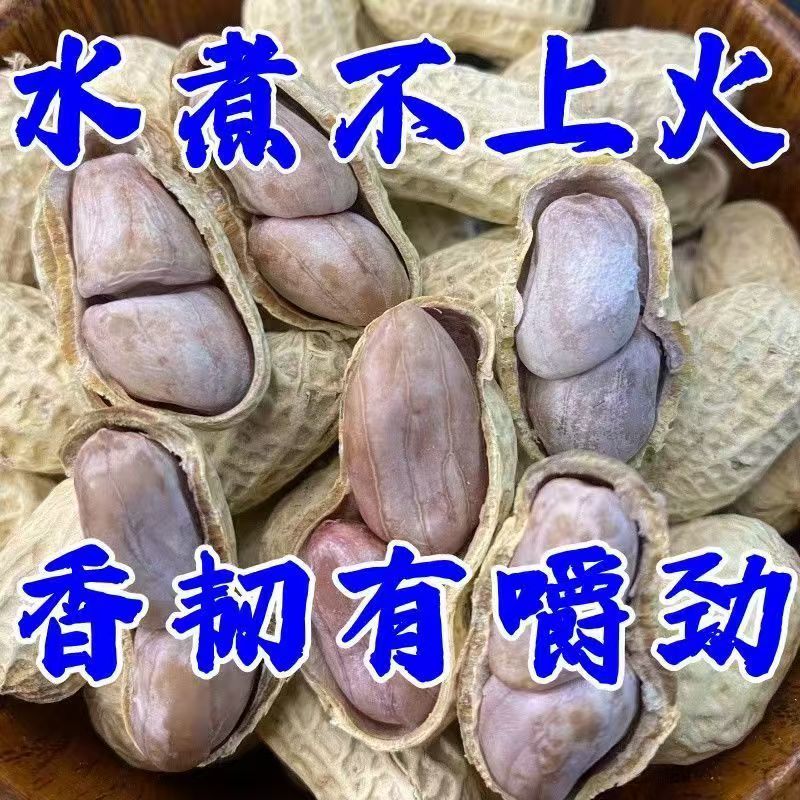 新货龙岩特产水煮白晒咸干湿烤带壳花生蒜香五香咸干原味花生米