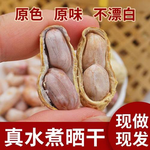 花生带壳水煮白晒咸干蒜香五香湿烤盐水炒货小零食熟批发