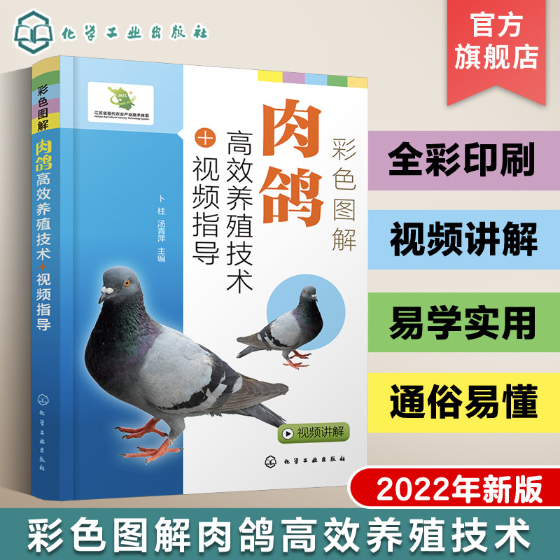 彩色图解肉鸽高效养殖技术视频指导 肉鸽选种 疾病防治 肉鸽营养饲料