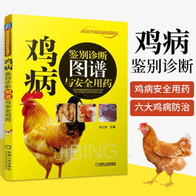 鸡病鉴别诊断图谱与安全用药 养鸡技术书蛋鸡养殖技术书籍大全鸡病鉴别诊断图谱与防治土鸡肉鸡散养鸡养殖及用药鸡白痢药手册