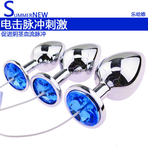 Adult sex toys for male and female students, SM metal anal