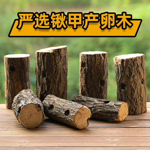 新款婚庆道具木段摆件