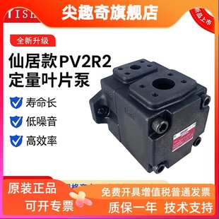 41定量液压油泵 RAA PV2R2 YIHE仙居款
