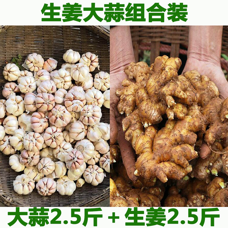 新鲜生姜大蒜组合5斤装优质紫红白皮干蒜头老生姜大蒜土生姜
