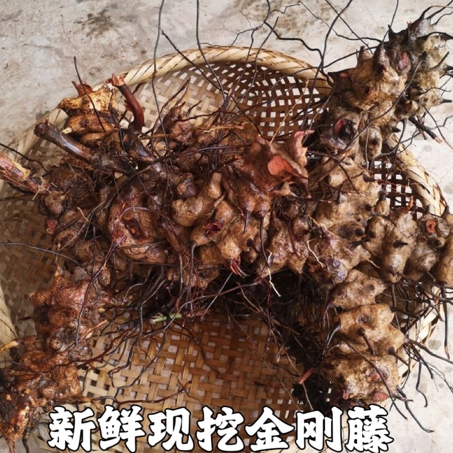 野生金刚刺中药材 金刚藤 菝葜铁菱角根现挖新鲜金刚藤根铁刺包邮