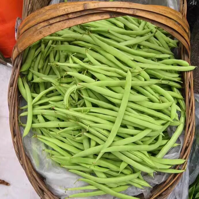 现摘湖北新鲜四季豆当季蔬菜无筋豆云豆农家扁豆荷兰豆蔬菜包邮