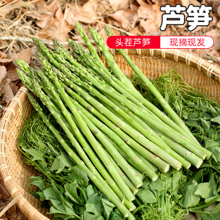 青芦笋新鲜芦笋农家绿芦笋新鲜蔬菜 龙须菜 去白根山东嫩芦笋包邮