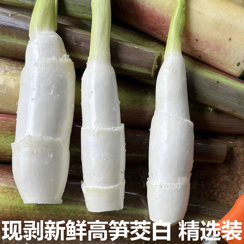 茭白笋时令新鲜蔬菜茭白农家高笋装鲜嫩高山蔬菜现采加冰发货包邮
