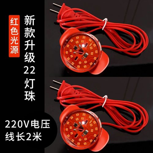 LED发光灯笼伴侣LED灯节能高亮