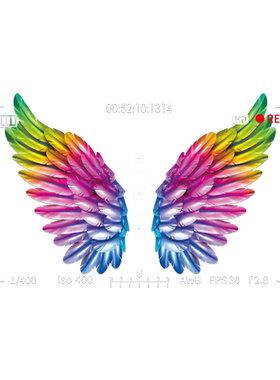 咖啡店打卡布置静电贴画拍摄道具背景甜品网红橱窗翅膀玻璃门贴纸