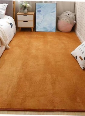 Carpet bedroom bed blanket living room blanket floor mat rug