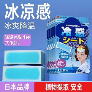 Japan Cooling and Cooling Patch for outdoor adults