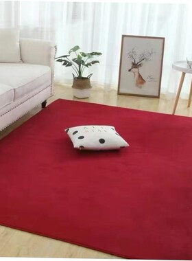 Carpet bedroom bed blanket living room blanket floor mat rug