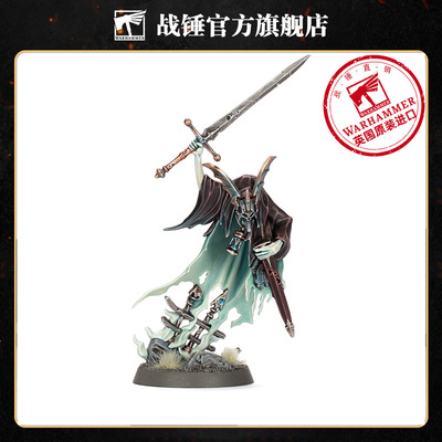 暗夜游魂：尸布骑士Nighthaunt: Knight Of The Shrouds