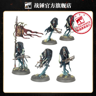 战锤西格玛时代 暗夜游魂:懦弱王座守卫 死亡 步兵 勇士 旗手