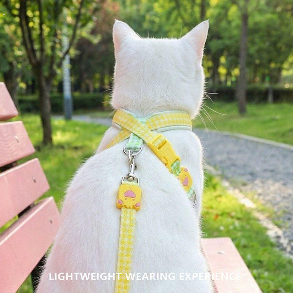 猫咪牵引绳8字防挣脱便携遛猫绳狗狗胸背带背心式狗绳宠物溜猫绳图片
