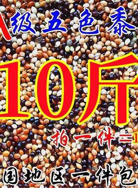 10大斤五色混合黍子虎皮牡丹玄凤鹦鹉鸟食糜谷子文鸟饲料鹦鹉鸟粮