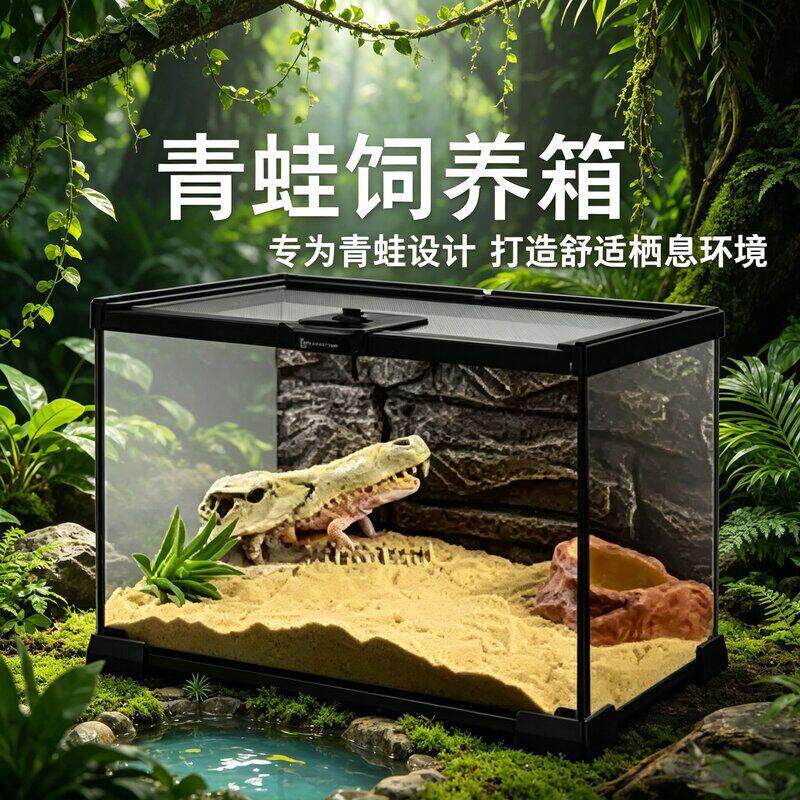 青蛙饲养箱热带雨林缸生态饲养缸客厅造景摆件蜥蜴乌龟寄居蟹爬宠