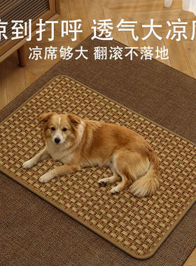 宠物四季通用凉席垫夏天透气防滑