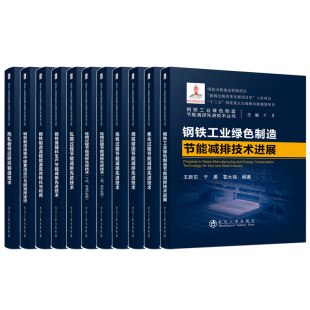 钢铁工业绿色制造节能减排先进技术丛书全11册炼钢轧钢炼铁焦化过程钢铁制造流程烧结球团钢铁原辅料热轧板带近终形制造技术