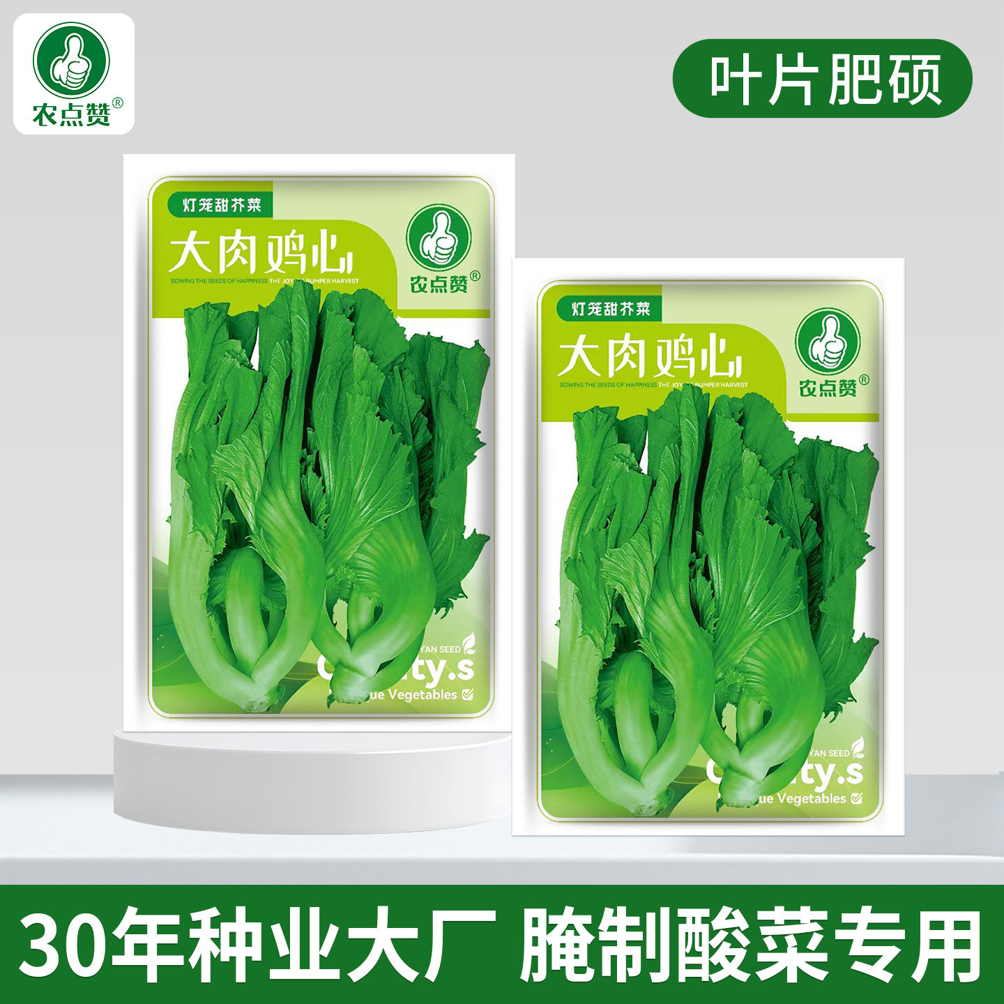 [大田种植]农家芥菜种子老品种芥菜疙瘩包心芥菜籽大叶甜芥菜种籽