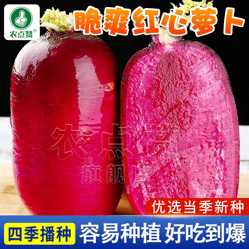 脆爽红心萝卜种子红皮红心萝卜种籽脆甜多汁水果罗卜四季蔬菜种孑