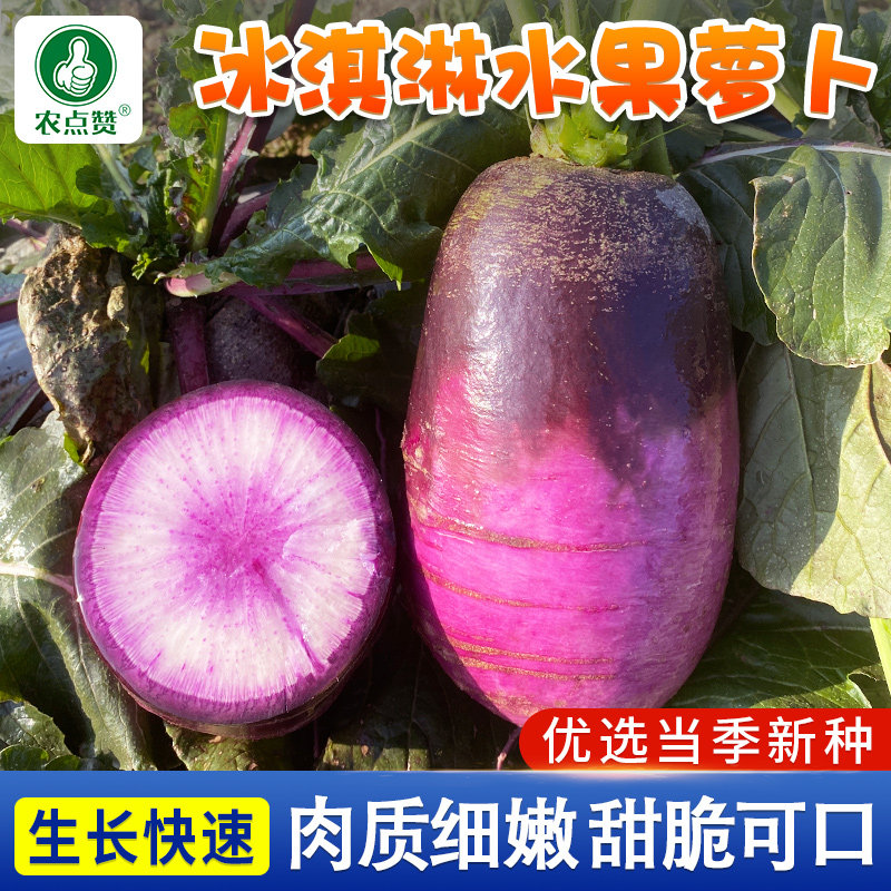 冰淇淋萝卜种子紫色生吃甜脆紫萝卜种籽四季种冰激凌水果罗卜种孑