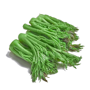 刺龙芽菜种子刺龙苞种籽刺老芽山菜之王刺嫩芽种孑特色香蔬菜种子